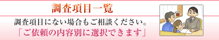 調査項目一覧