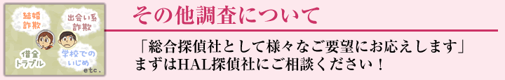 その他の調査について
