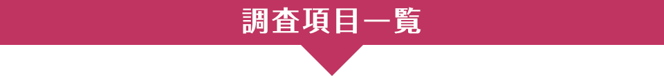 項目一覧