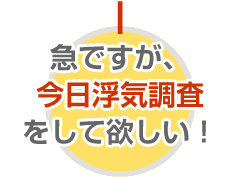 今日浮気調査をしてほしい！