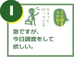 急ですが、今日調査をして欲しい。