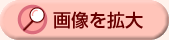 画像を拡大